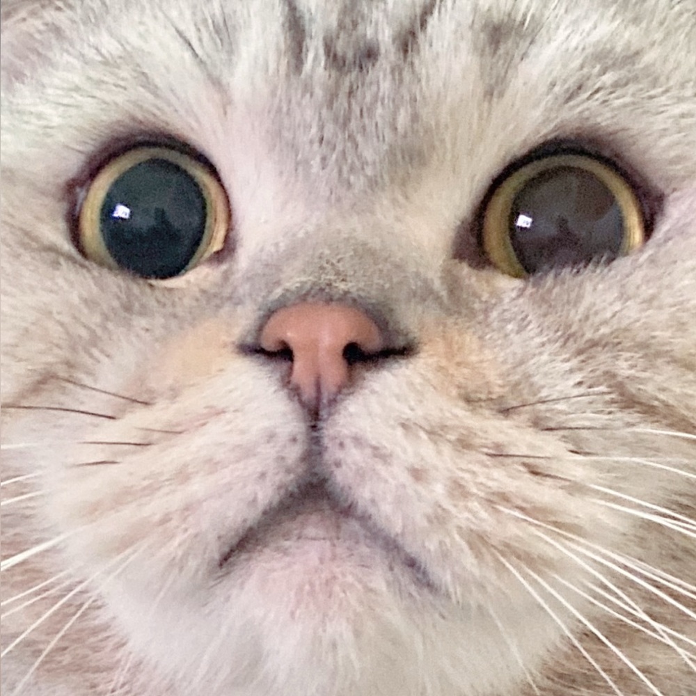 Meet your Posher, Kari